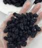方家铺子6星椹大桑葚干500g/瓶 桑椹干大果均≥2cm黑桑葚子泡水枸杞泡酒 实拍图