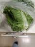 良知农哥【顺丰/JD】东北新鲜白菜叶饭包大白菜叶子打包 新鲜蔬菜 20片菜叶+酱 【顺丰/JD陆运】 实拍图