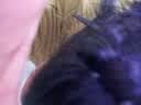 追师檀木女古风高级感简约木质盘发簪子新中式小众日常生日礼物 实拍图