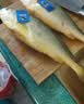 三都港 冷冻黄花鱼700g/2条装 大黄鱼深海鱼 生鲜鱼类 海鲜水产中秋礼品 实拍图