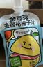 金豆芽金银花柚子汁儿童饮品户外便携小孩果汁饮料送礼礼盒100ml*22袋 实拍图