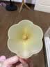 易简（yijan）易简小喇叭婴儿防吃手小月龄硅胶咬磨牙棒宝宝儿童乐器早教玩具 实拍图