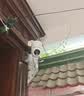小米智能室外摄像机4C 3K 家用监控器摄像头360度无死角带夜视500万像素全彩夜视农村户外庭院 实拍图