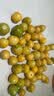 京觅东北姑娘果 净重3斤装 灯笼果黄菇娘洋菇茑 新鲜水果 源头直发 实拍图
