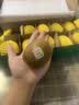 佳沛（zespri）新西兰金奇异果10个装单果重103-114g猕猴桃水果礼盒 实拍图