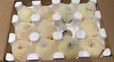 京地达山东烟台栖霞奶油苹果 26年新果80级净重5斤烟台苹果水果源头直发 实拍图