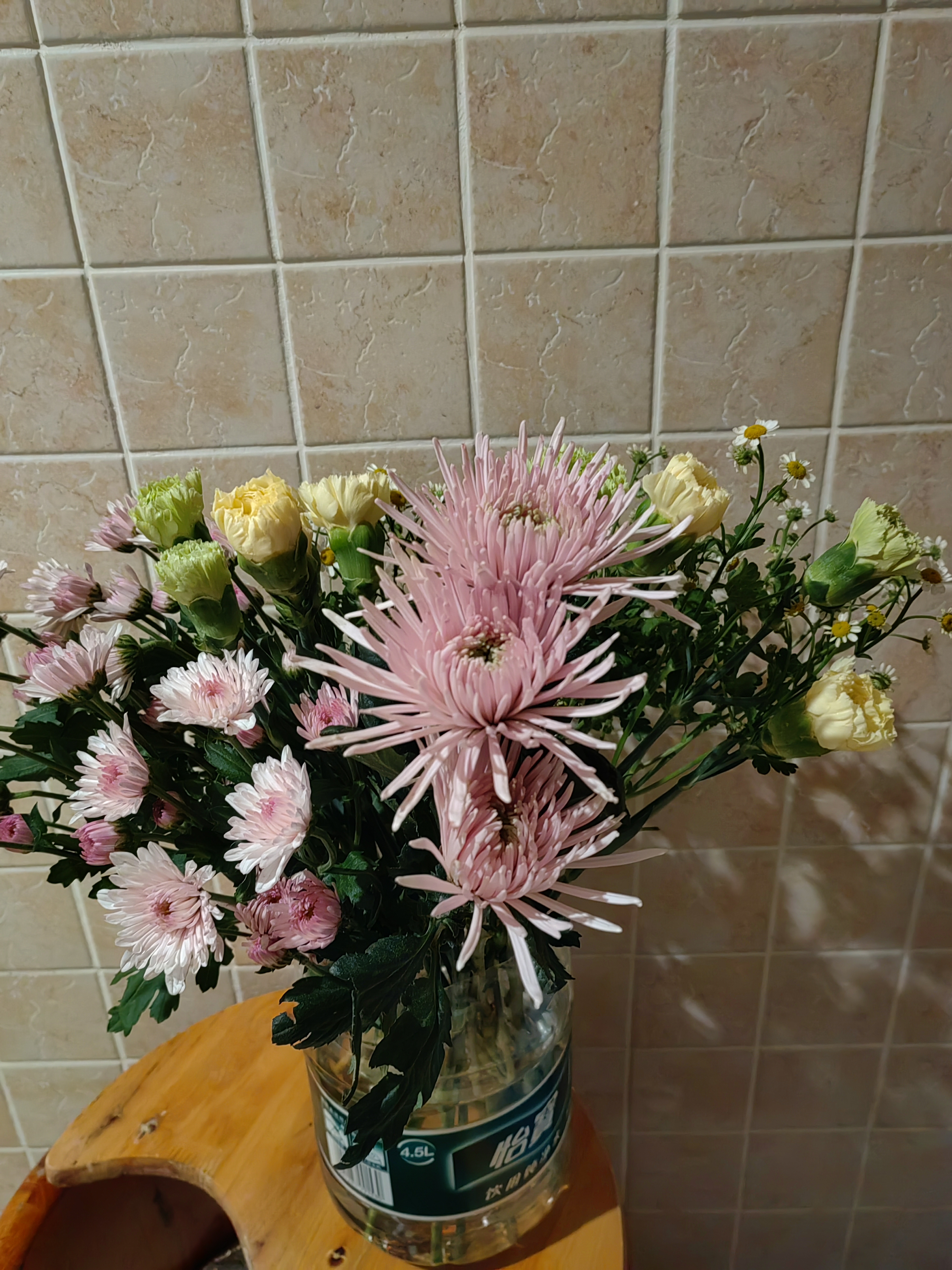 【绚烂开放】烟花菊奥利粉 3枝鲜花送礼物悦己家用 实拍图