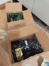 五谷道場 非油炸荞麦方便面泡面74g*5袋方便速食面条夜宵早餐  实拍图