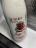 光明 致优 4.0娟姗牛鲜牛奶 800ml*1瓶  家庭装鲜奶 低温奶 定期购 实拍图