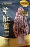 十月稻田 羊肚菌 30g（5-8cm）云南产 菌菇汤包 鸡汤煲汤火锅食材 实拍图