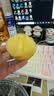 佳沛（zespri）新西兰金奇异果12粒特大果124-146g猕猴桃水果礼盒 实拍图