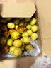 京鲜生陕西大荔冬枣 脆枣大枣 3斤装 单果20g+ 新鲜水果 实拍图