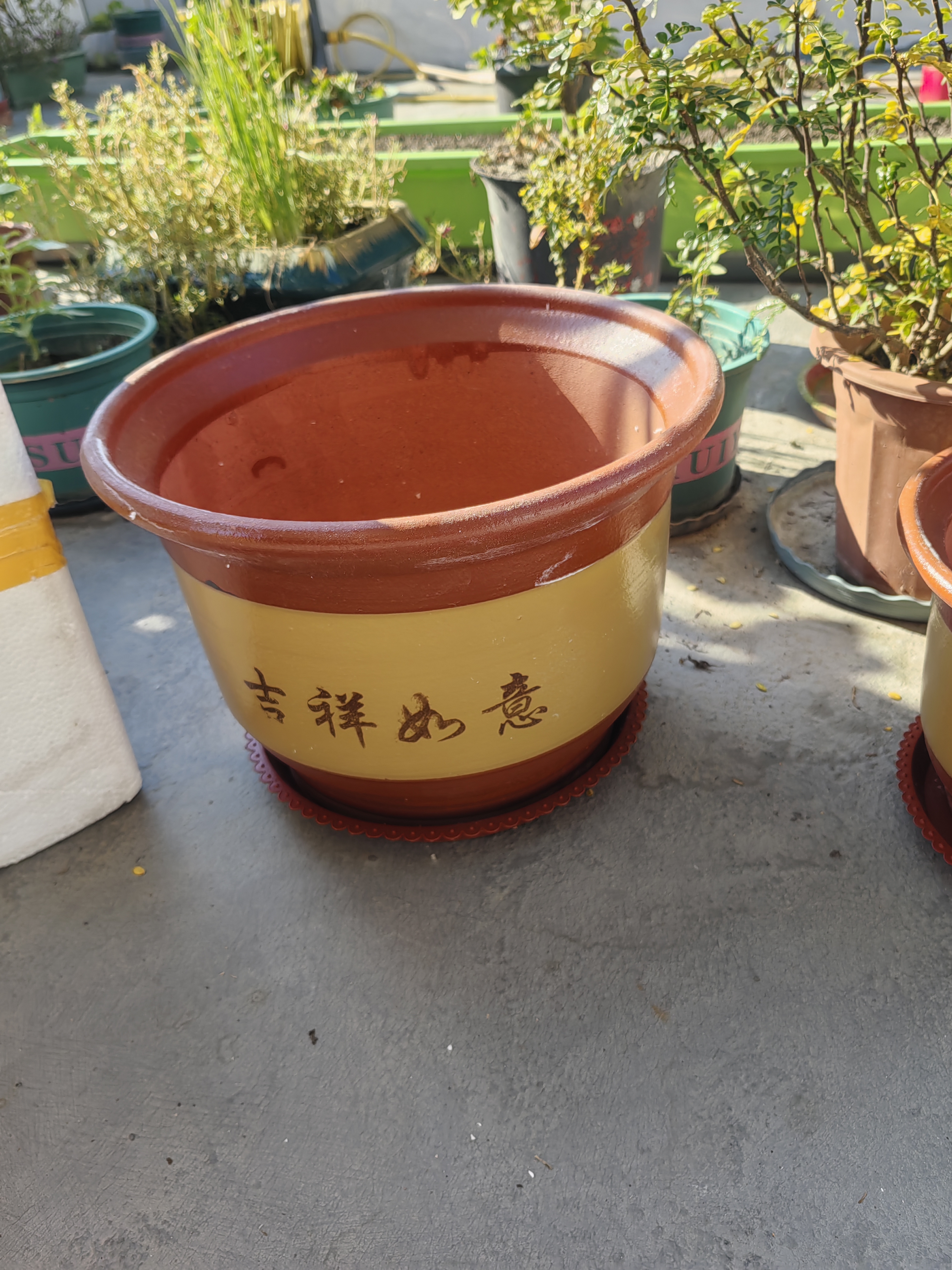 【东东农场专供】陶瓷大花盆家用落地兰花多肉盆紫砂粗砂花盆特价 口径32cm一个盆+托盘 实拍图