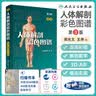 人体解剖彩色学图谱 第三版第3版新版 郭光文3D搭奈特医用医学生解剖书外科全彩局部系统实用解剖彩绘本科大学教材二版升级人民卫生出版社 奈特医学图谱全集 新华书店正版 人体解剖彩色图谱(第3版) 实拍图