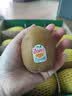 佳沛（zespri）新西兰金奇异果12粒特大果124-146g猕猴桃水果礼盒 实拍图