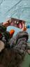 弱视训练软件医院同款儿童远视斜视手机平板电脑通用3D红蓝眼镜 12个月 赠红蓝眼睛（夹镜片）*2 实拍图