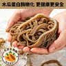 潮夫道冷藏黑千层2斤川渝涮火锅食材麻辣烫冒菜牛毛肚牛百叶固体物60% 实拍图