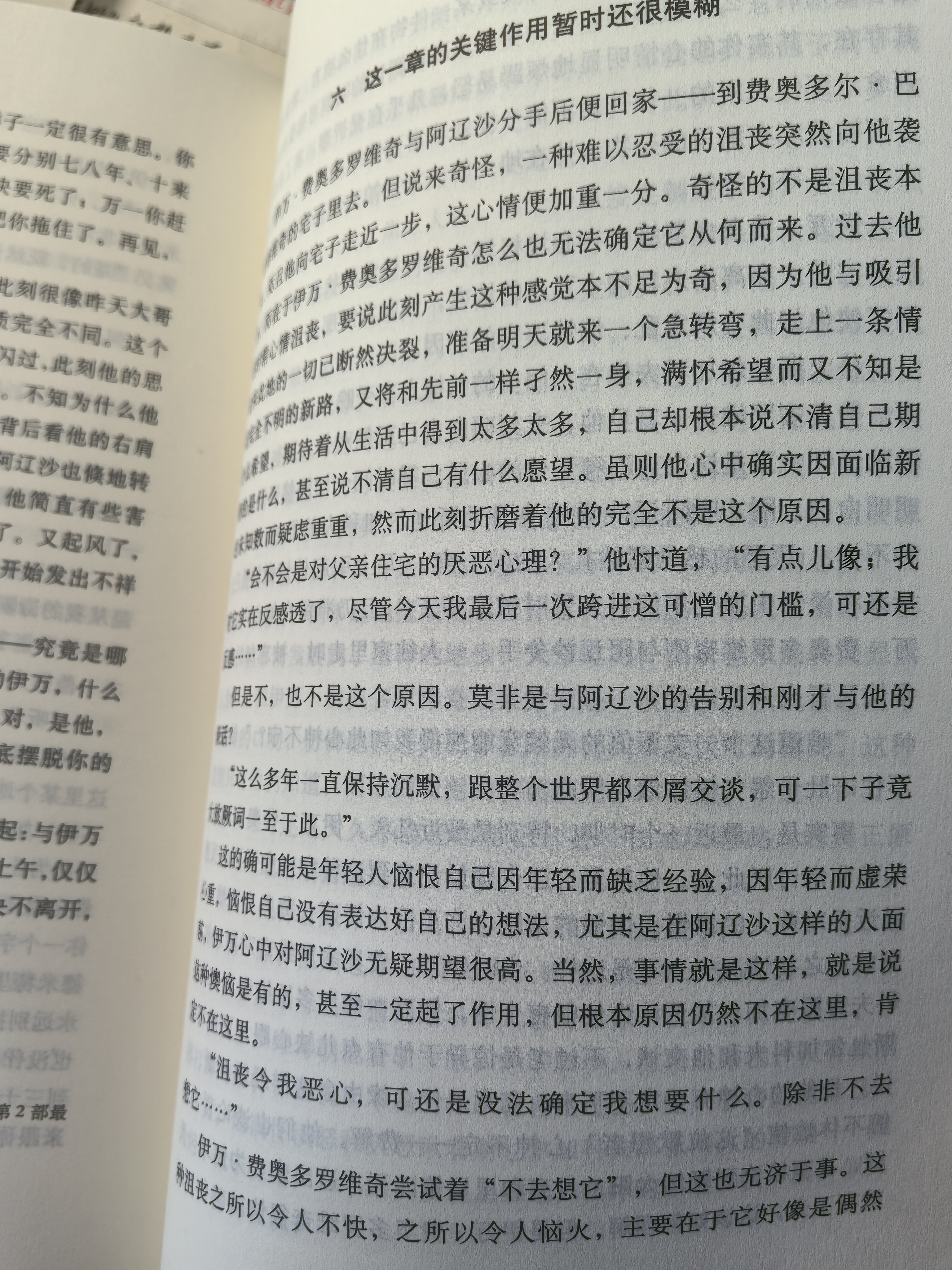陀思妥耶夫斯基文集：卡拉马佐夫兄弟（上下册）我在岛屿读书节目推荐 李诞推荐 小说 实拍图