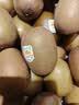 佳沛（zespri）新西兰金奇异果16粒经典果88-103g猕猴桃水果礼盒 实拍图