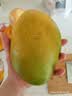 京鲜生 攀枝花【即食大果】凯特芒果 净重10斤 单果700g 5-7颗 生鲜礼盒 实拍图