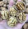 楼兰蜜语京觅联名云南有机薄皮核桃618g袋装原味纸皮节日坚果零食每日坚果 实拍图
