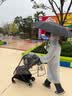 Murcia婴儿车推车防风遮雨罩配件宝宝挡雨衣溜娃神器通用遛娃防水防尘罩 实拍图