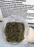 沏万年小叶苦丁茶特级2026嫩芽正宗贵州高血糖血压血脂清肝新茶叶100g 实拍图