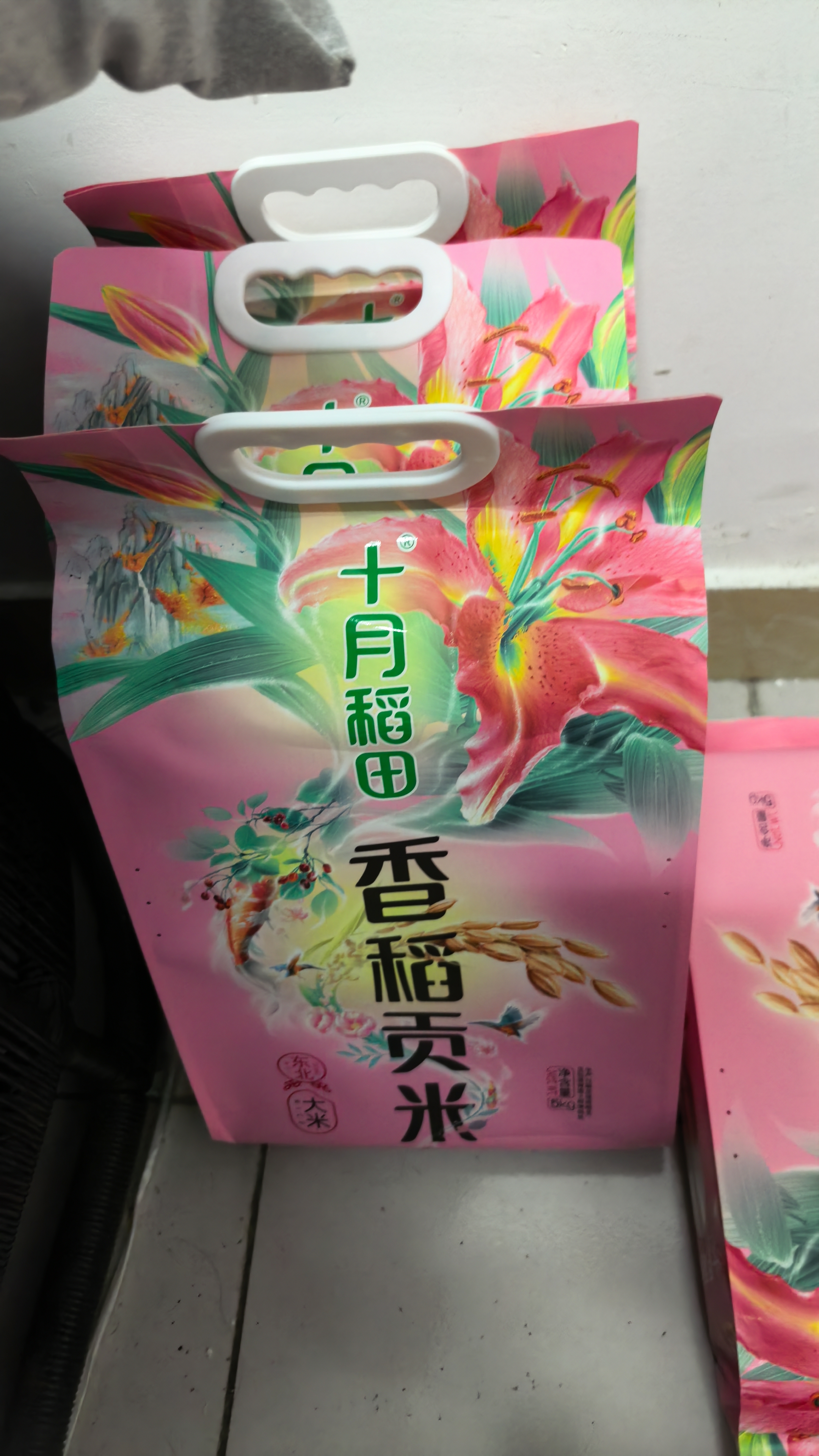 十月稻田 香稻贡米 东北大米 10斤（香米 粳米 5kg/公斤） 实拍图