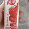 蒙牛真果粒草莓味牛奶饮品250g*12盒  礼盒新老包装 送礼礼盒 实拍图