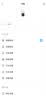 萤石C8C 800万 lite 4G摄像头 终身无限流量免充值 室外双云台 防水防尘监控 人形检测 全彩夜视 实拍图