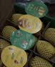 佳沛（zespri）新西兰金奇异果10粒巨大果146-175g猕猴桃水果礼盒 实拍图