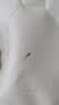 都市丽人无钢圈运动内衣光面无痕美背波浪边背心式胸罩女士2B350D 大胸款 实拍图