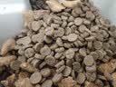 鲜朗低温烘焙猫粮冻干生骨肉天然无谷幼猫成猫全阶段鲜郎换粮试吃试用 烘焙老年猫粮试吃装 实惠装(50g*5包) 实拍图