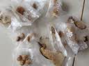 奥祥堂儿童清心汤清300克小儿消积食灯芯草雪梨海底椰灯心草去内热宝宝 实拍图
