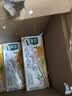 豆本豆桂花乌龙豆奶250ml*20盒植物蛋白饮料儿童营养学生早餐奶礼盒批发 实拍图