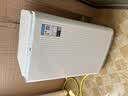 海信（Hisense）全自动波轮洗衣机8KG小型健康 一级能效 家用租房宿舍WT80N1Q以旧换新家电补贴 京东自营 实拍图