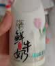 西湖牌低温鲜牛奶260ml*11巴氏杀菌高钙4.0蛋白纯牛奶乳品瓶装源头直发 实拍图