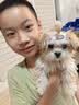 MAG【DHA母乳配方】 狗狗幼犬羊奶粉 犬用成年老年犬宠物奶粉400g 实拍图