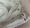 冰鲜银鱼150g 实拍图