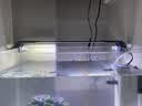 吉印刀锋s鱼缸灯led灯防水全光谱鱼缸照明灯水草灯小型专用鱼灯36cm 实拍图