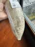 白萝卜约1kg 实拍图