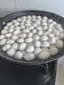 顺然（SUNATUR）1063厨师机家用小型和面机全自动揉面机商用大容量打蛋器面包搅拌料理机2026新款 1063A-快速出手套膜 实拍图
