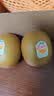 佳沛（zespri）新西兰金奇异果8粒特大果124-146g猕猴桃中秋节礼品送水果礼盒 实拍图