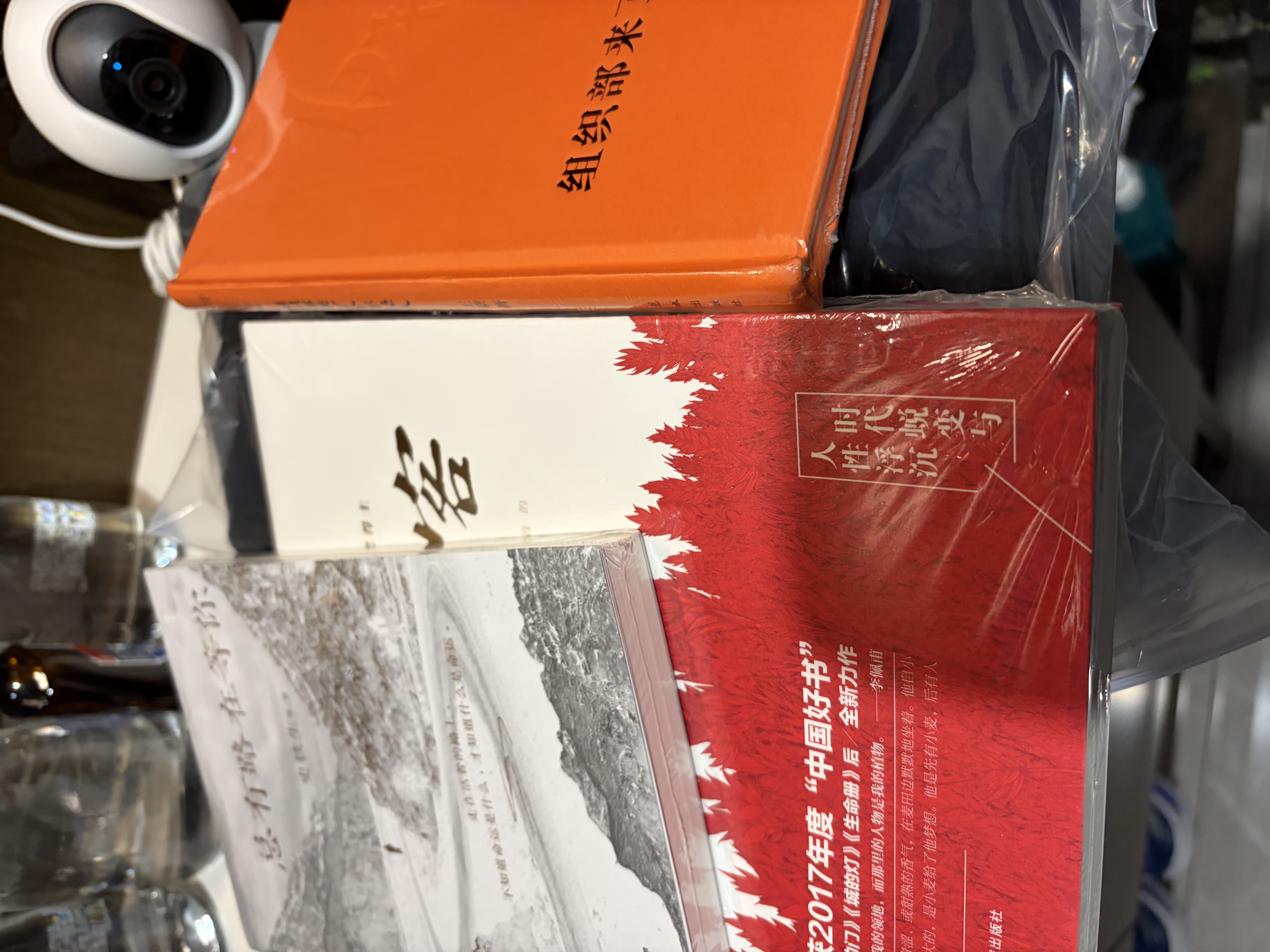 史铁生 总有路在等你（史铁生等名家的人生悲喜书，不知道命运是什么，才知道什么是命运）  中南传媒 实拍图