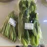 上海青约500g(油菜) 实拍图