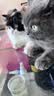 HELLOJOY宠物粘毛可水洗粘毛器衣物去毛粘毛滚宠物灰尘清理粘毛除尘 实拍图