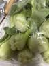 上海青约500g(油菜) 实拍图