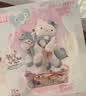 TOP TOY三丽鸥凯蒂猫hellokitty碎钻星河大体拼装积木玩具女孩生日礼物 实拍图