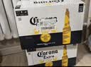 科罗娜（CORONA）特级啤酒330ml*24瓶整箱经典拉格京东自营 实拍图
