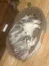 疯狂的主人猫抓板窝特大号猫玩具猫爪板猫抓盆不掉屑猫窝椭圆形瓦楞纸 实拍图